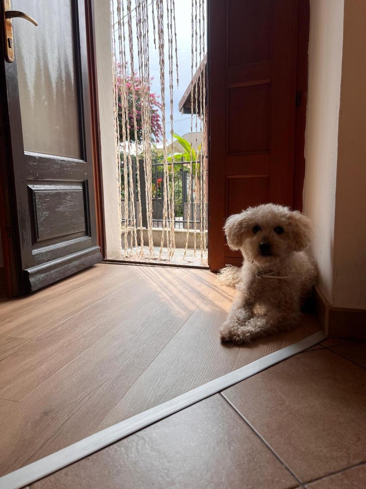 Apartment Ca Dai Noni Feriolo Ngoại thất bức ảnh