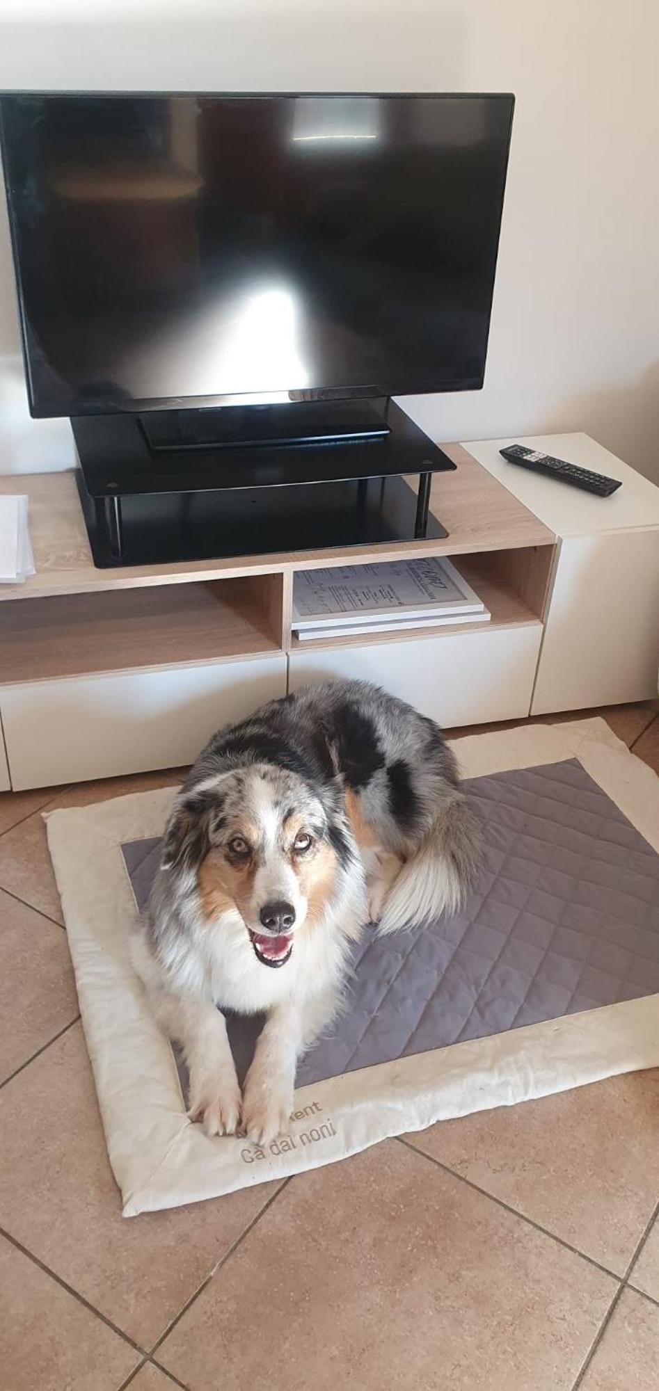 Apartment Ca Dai Noni Feriolo Ngoại thất bức ảnh